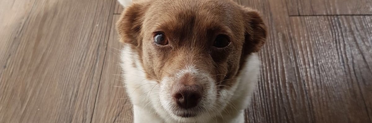 JOBOwot's profile banner image