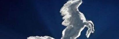 ri_ri1111's profile banner image