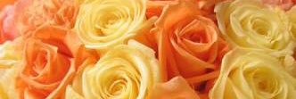 t__a__g___'s profile banner image