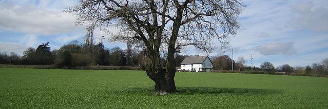 CPRW_MonBranch's profile banner image
