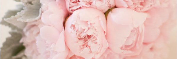 SteffiPow's profile banner image