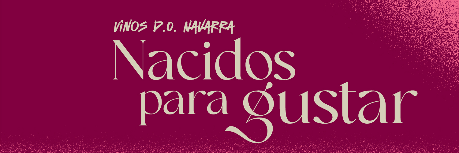 Vinos Navarra banner