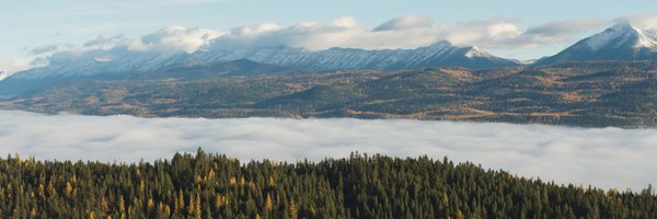 MarkTercek Profile Banner