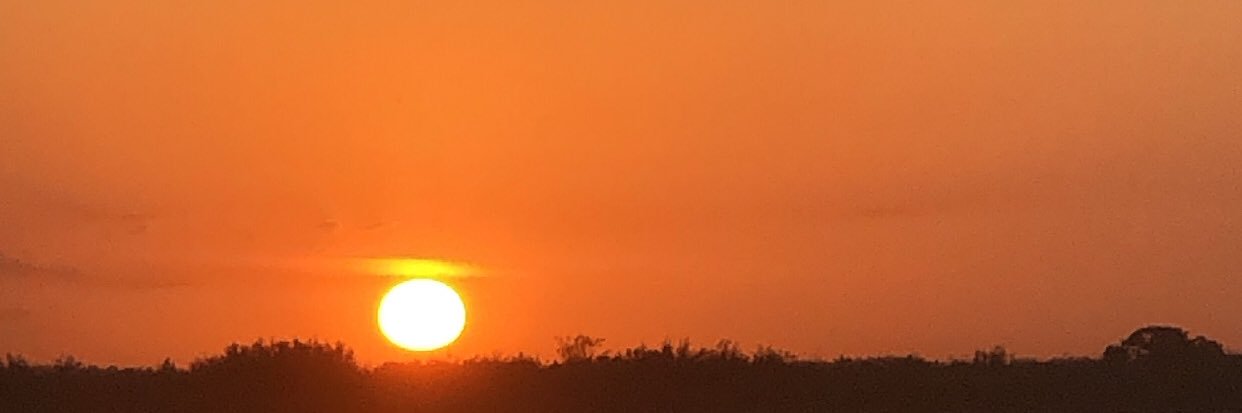 micaborro's profile banner image