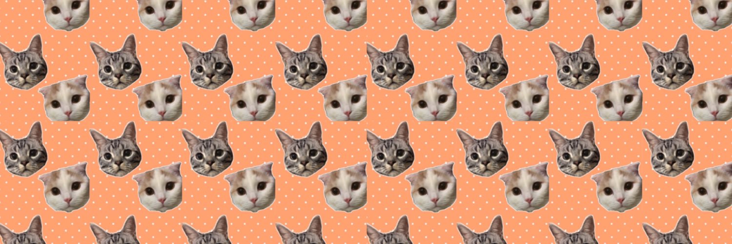 V11_L23's profile banner image