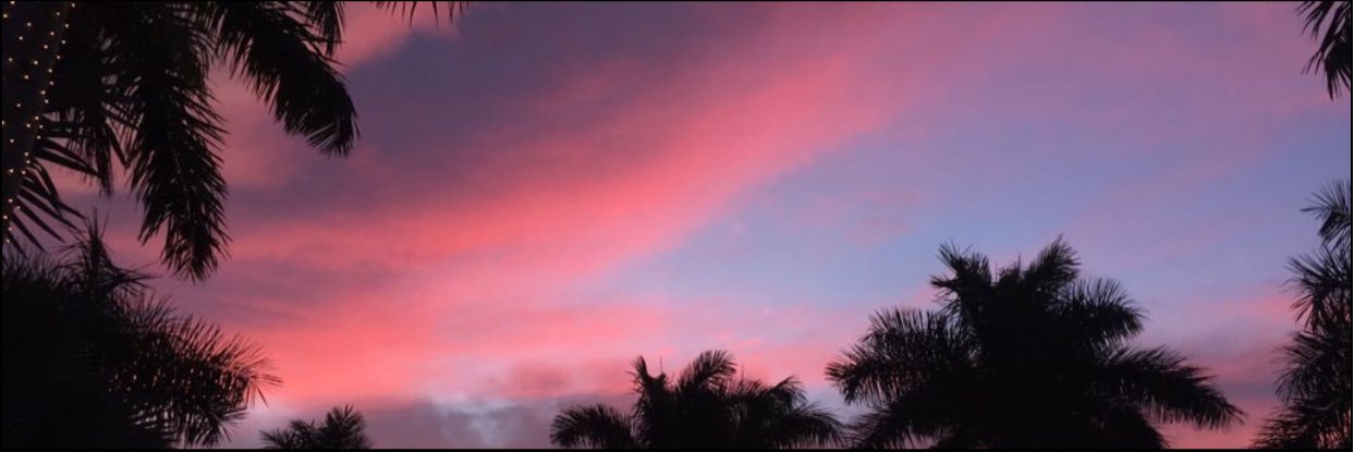 trishhb_'s profile banner image