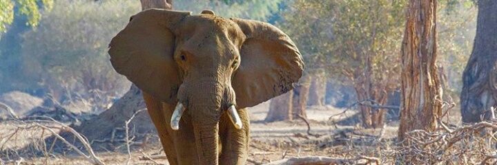 NZOUzw's profile banner image