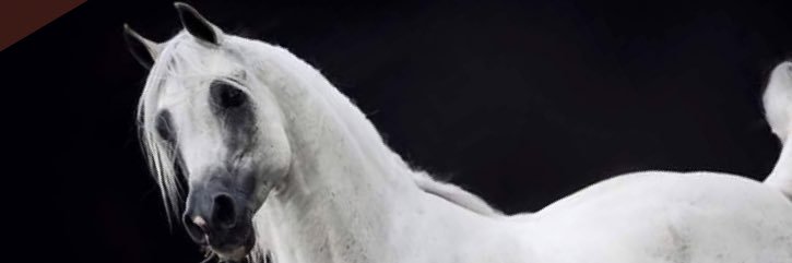 15Hkh's profile banner image