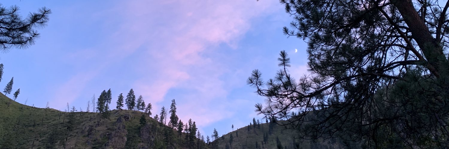 lizrasm's profile banner image