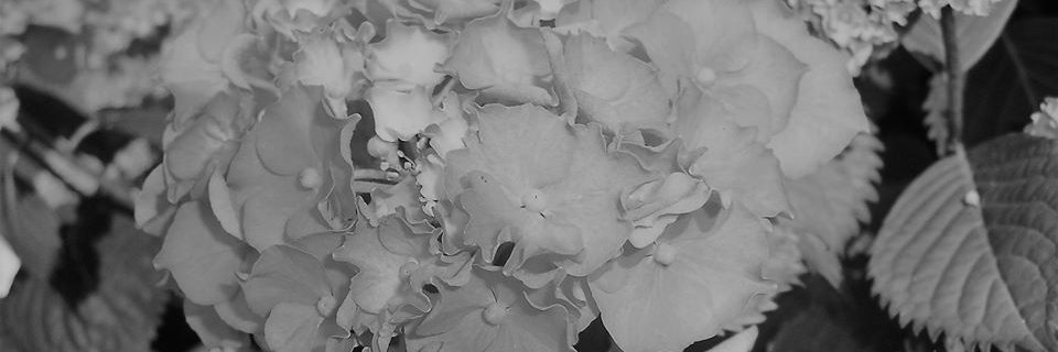 ALHeathAuthor's profile banner image