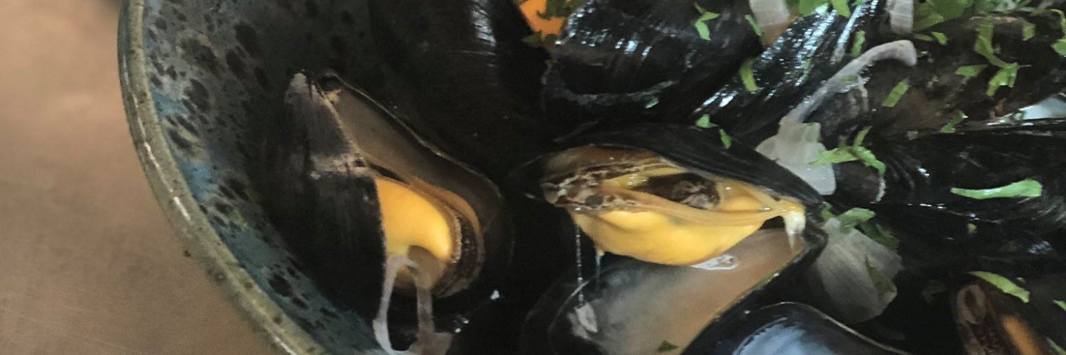 The Stackpole Inn banner