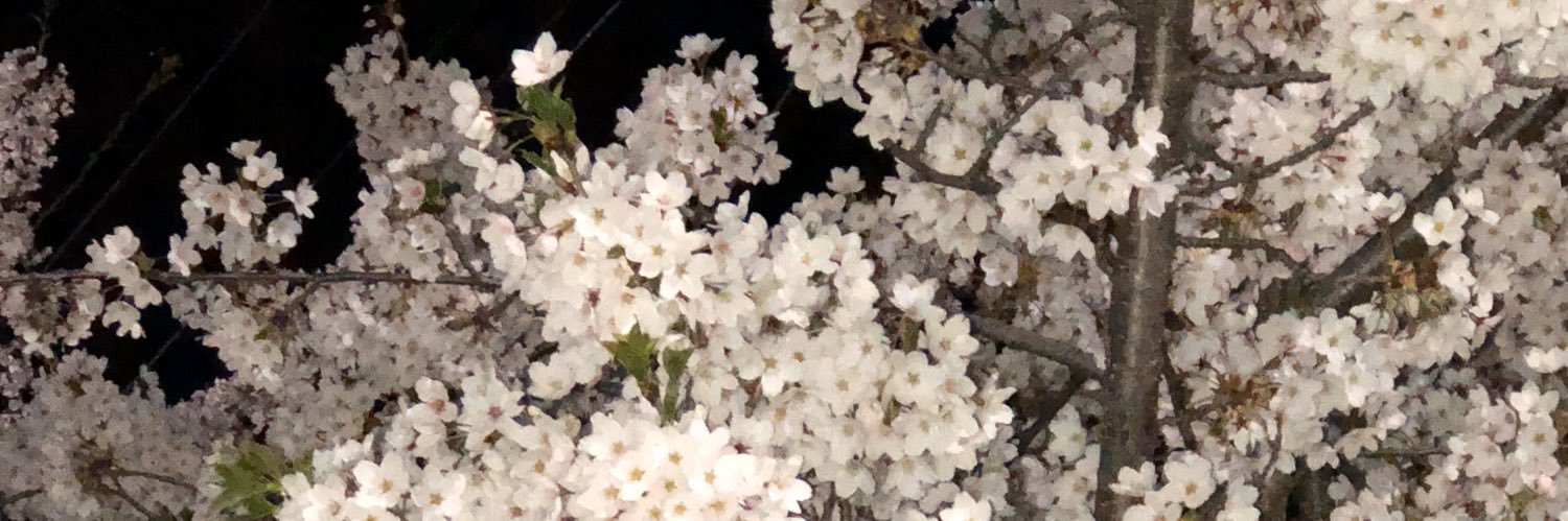 TSKW1986's profile banner image