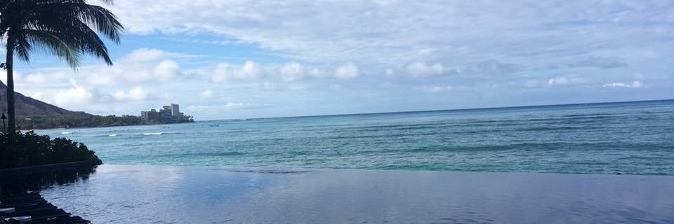 oliviawinning's profile banner image