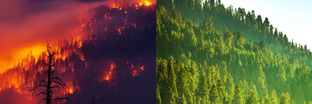 The Nature Conservancy in California banner