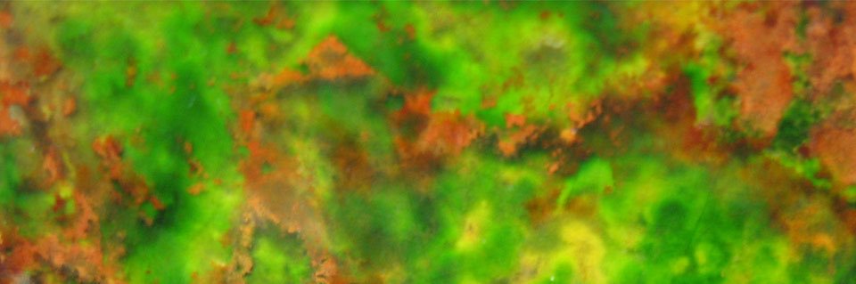 Fleur4Fleur's profile banner image