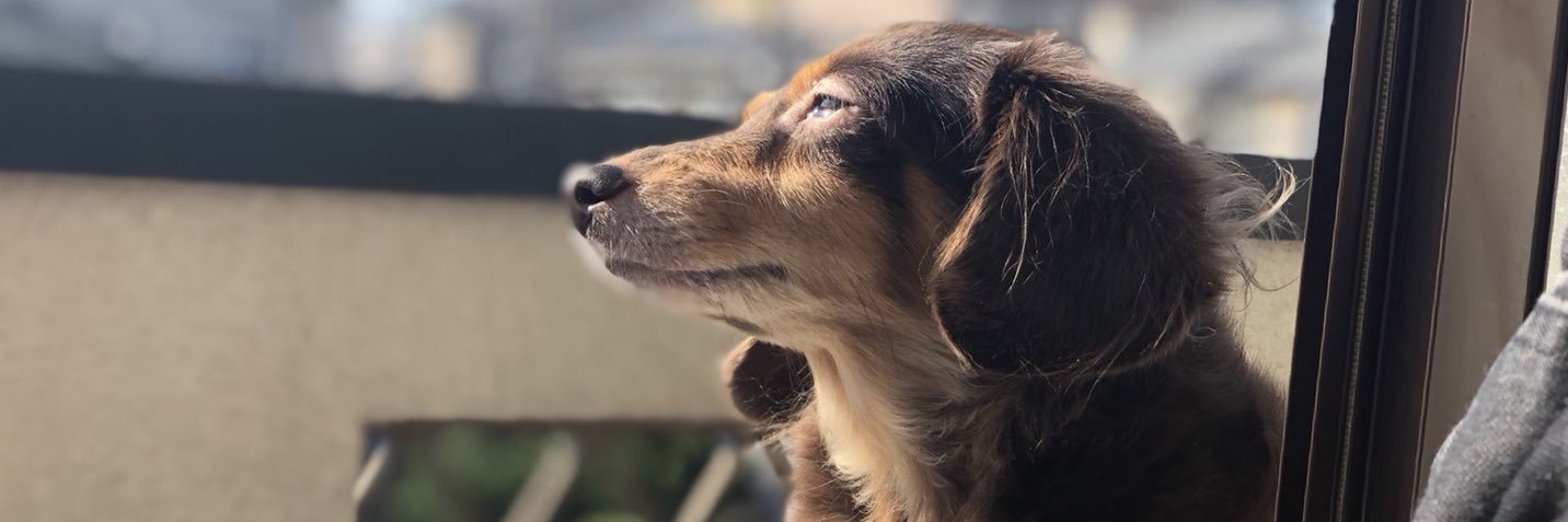 hirokibdd's profile banner image