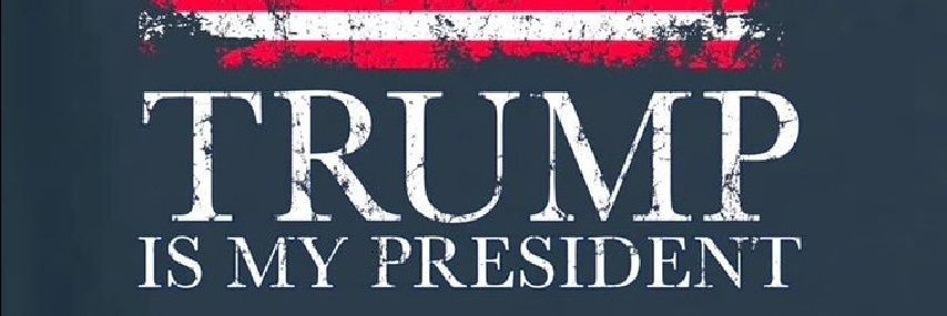 Michelle Fannin banner