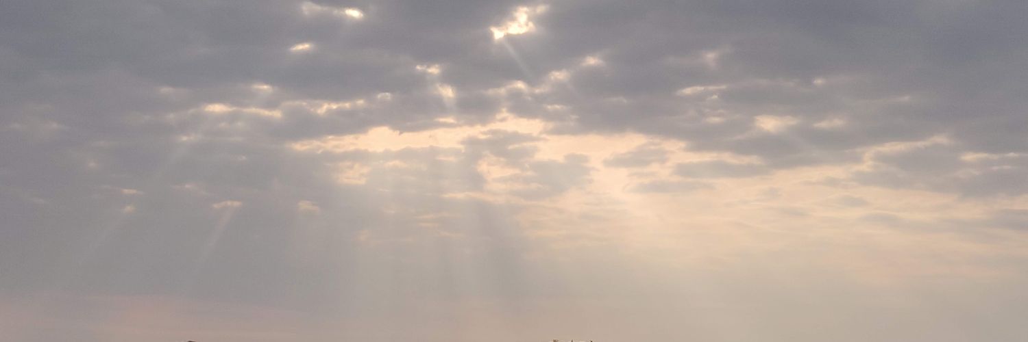 shaonlich's profile banner image