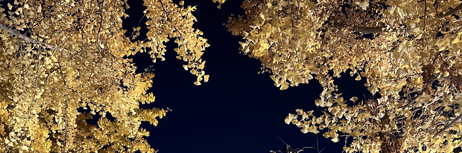 kadfeyui's profile banner image