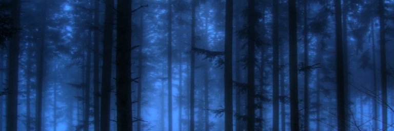 bluish_p's profile banner image