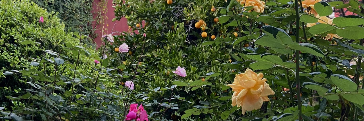 nroblesgil's profile banner image