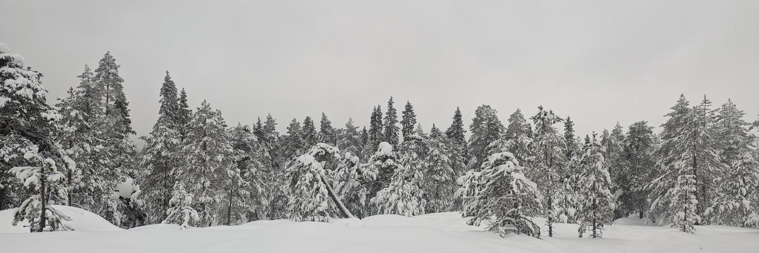 JAJx93's profile banner image