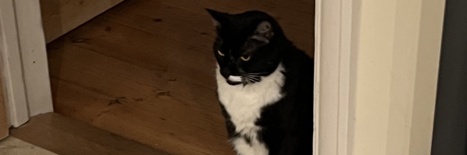 amystrz's profile banner image