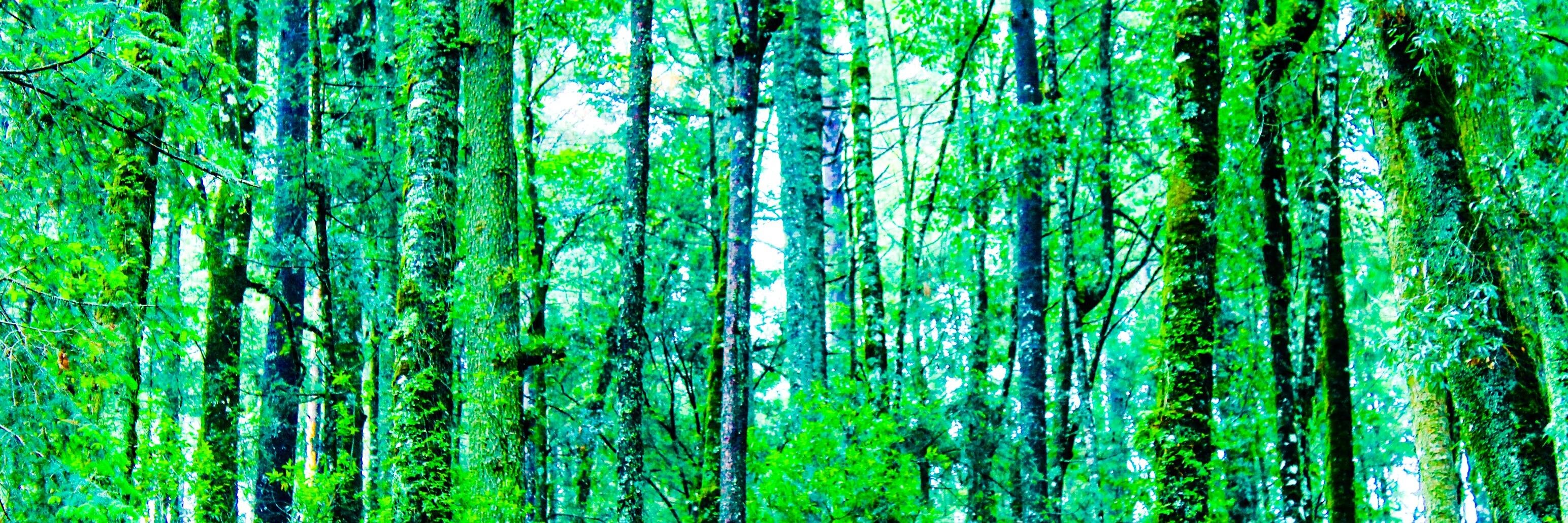 gerardomix76's profile banner image