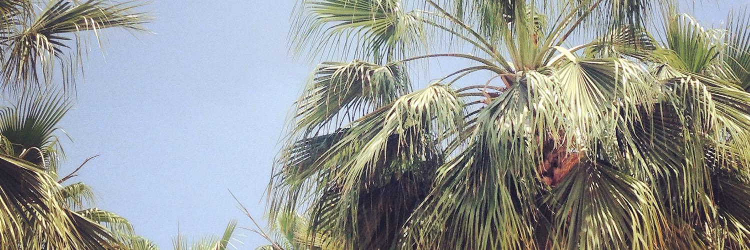 MorrisSharri's profile banner image
