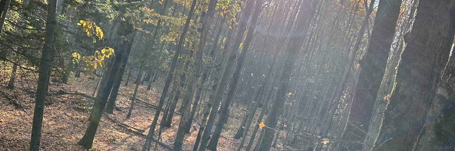 andydvantier's profile banner image