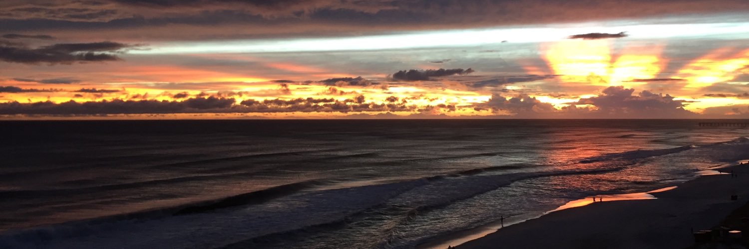 torishayy_'s profile banner image