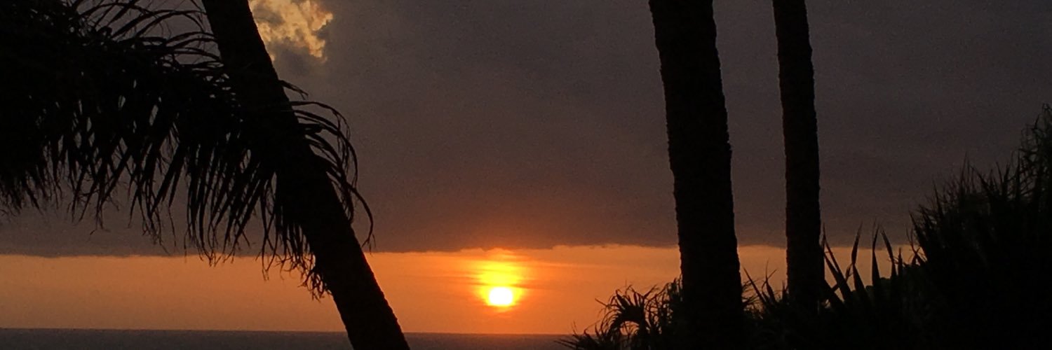 monbf's profile banner image