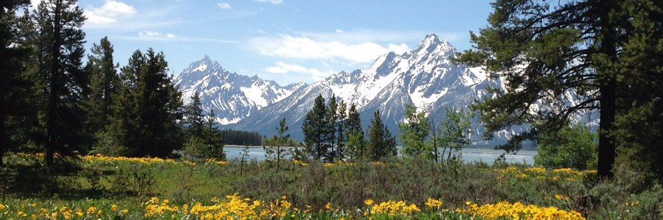 UW-NPS Research banner