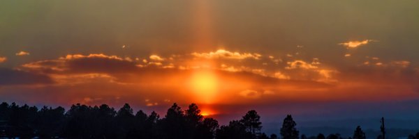 alana_thrower Profile Banner