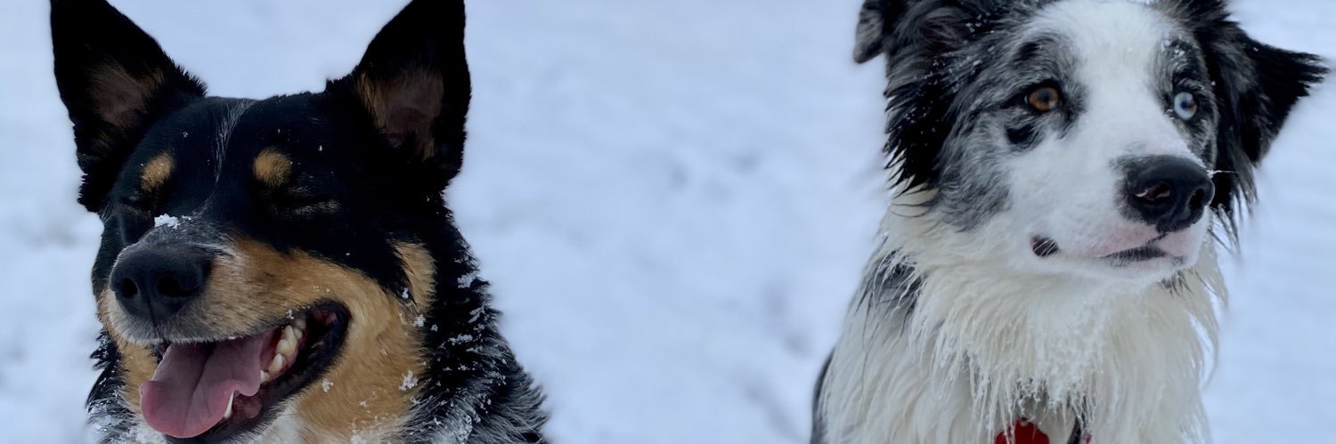 Alejayyyy's profile banner image