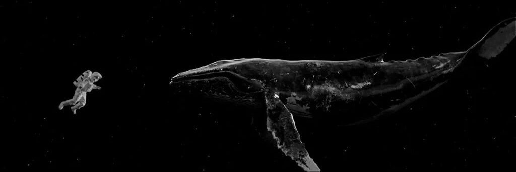 ___bacc's profile banner image