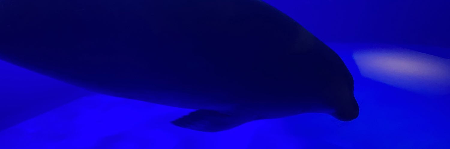 xo77__'s profile banner image