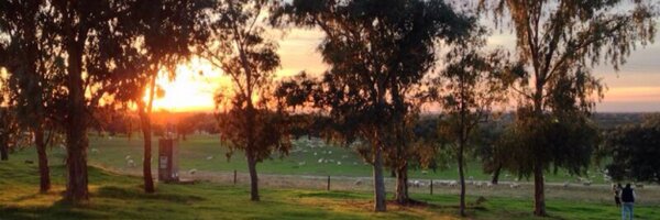 santosbriz Profile Banner