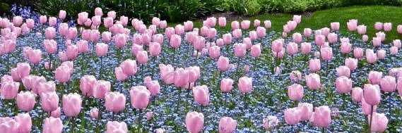 Kayla Smith🥀 banner