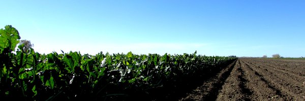 asbg Profile Banner