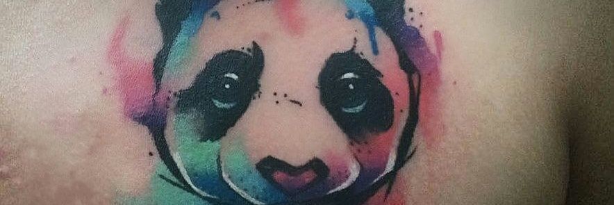 EduPaupie's profile banner image