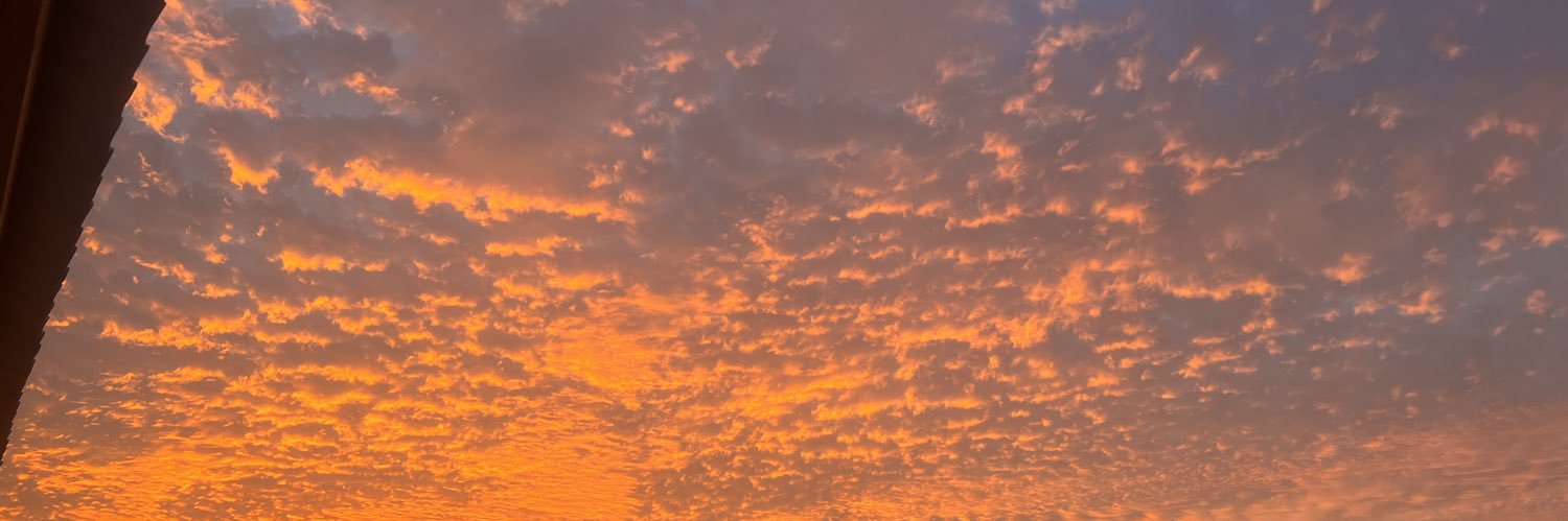 iruspls's profile banner image