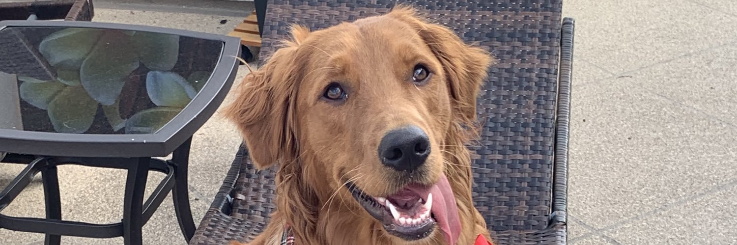JacksonHunter8's profile banner image