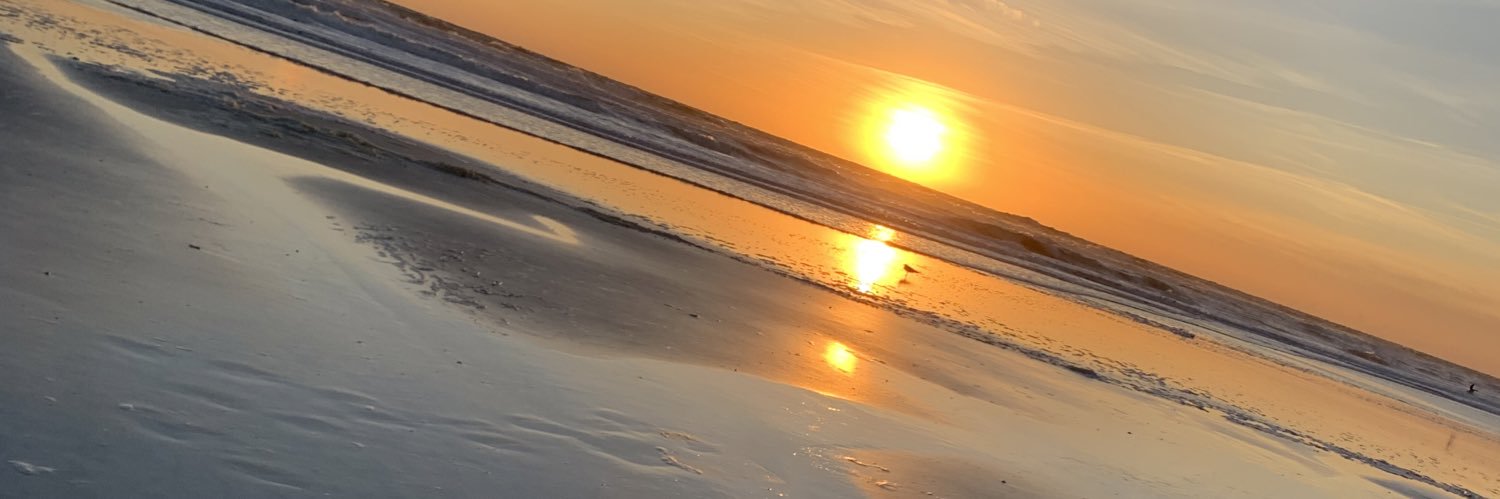 Cameospeed's profile banner image