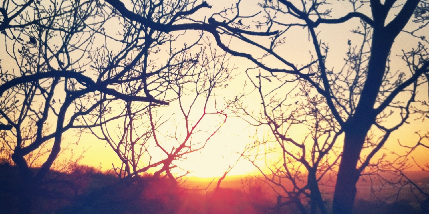 SamRouseyRouse's profile banner image