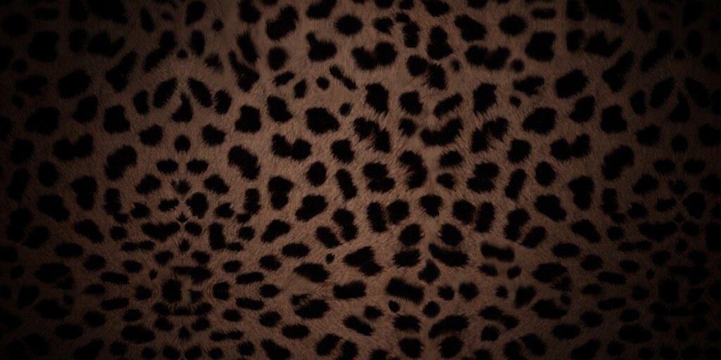 kalgre's profile banner image