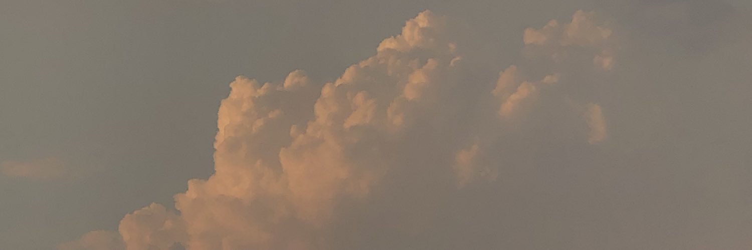 grzaana's profile banner image