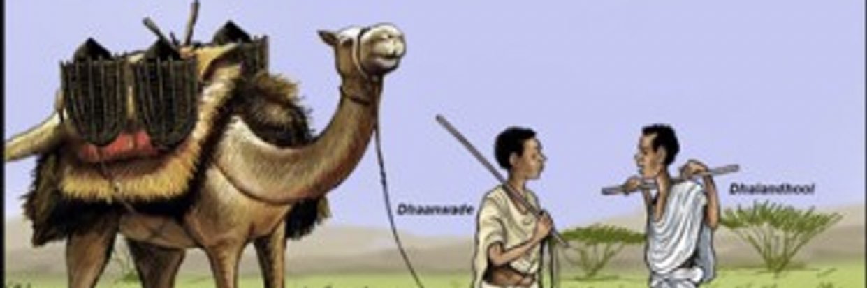Mohamud216's profile banner image