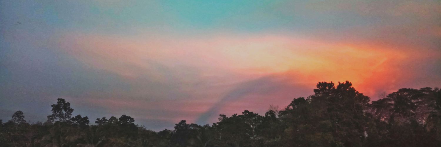 carmellecoated's profile banner image