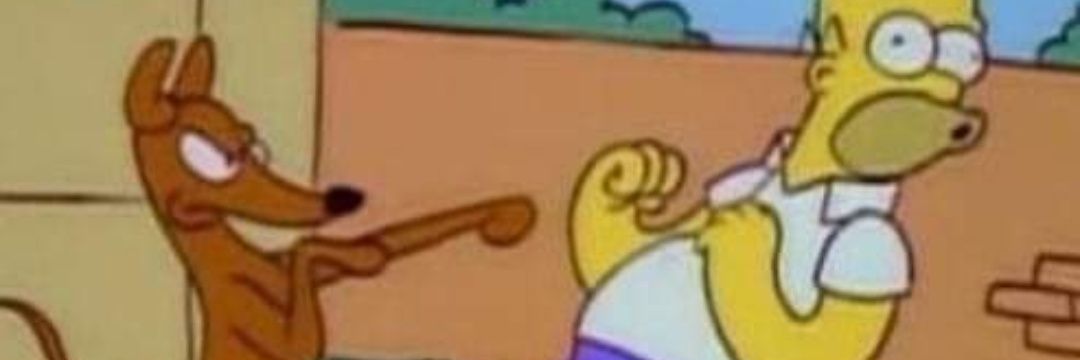 Pavs_22's profile banner image